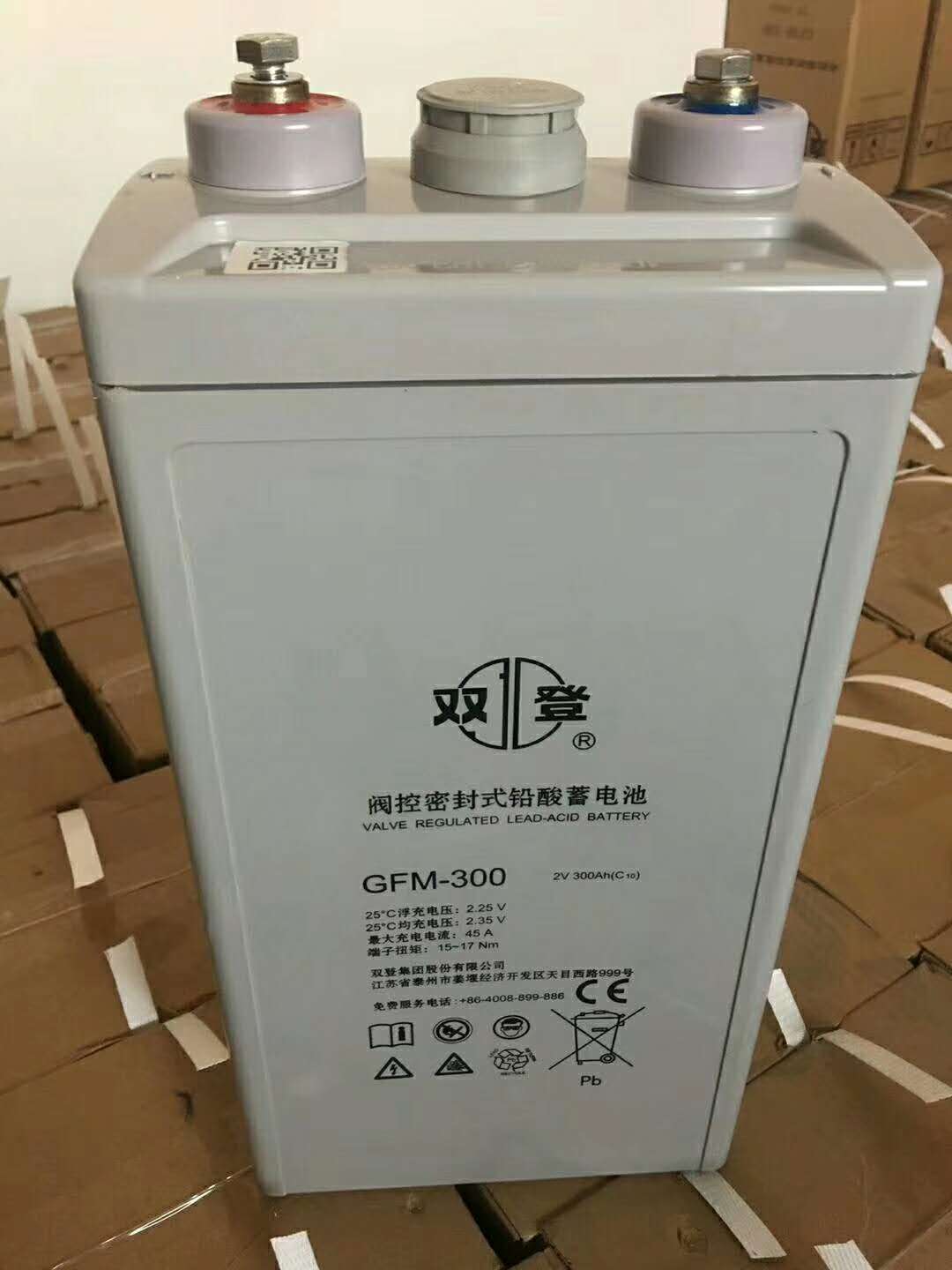 雙登蓄電池圖片/雙登蓄電池樣板圖 (4)