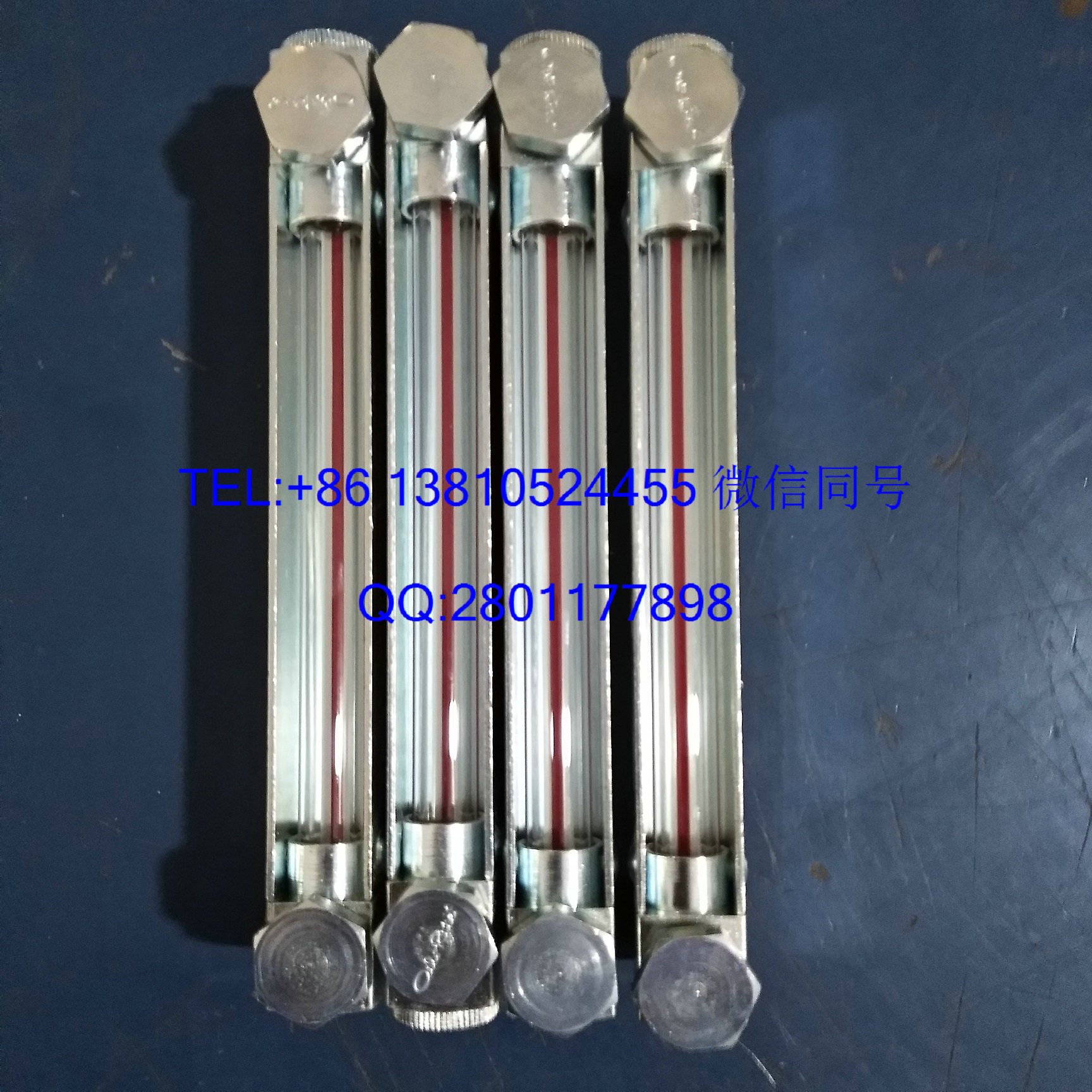 約克圖片/約克樣板圖 (2)