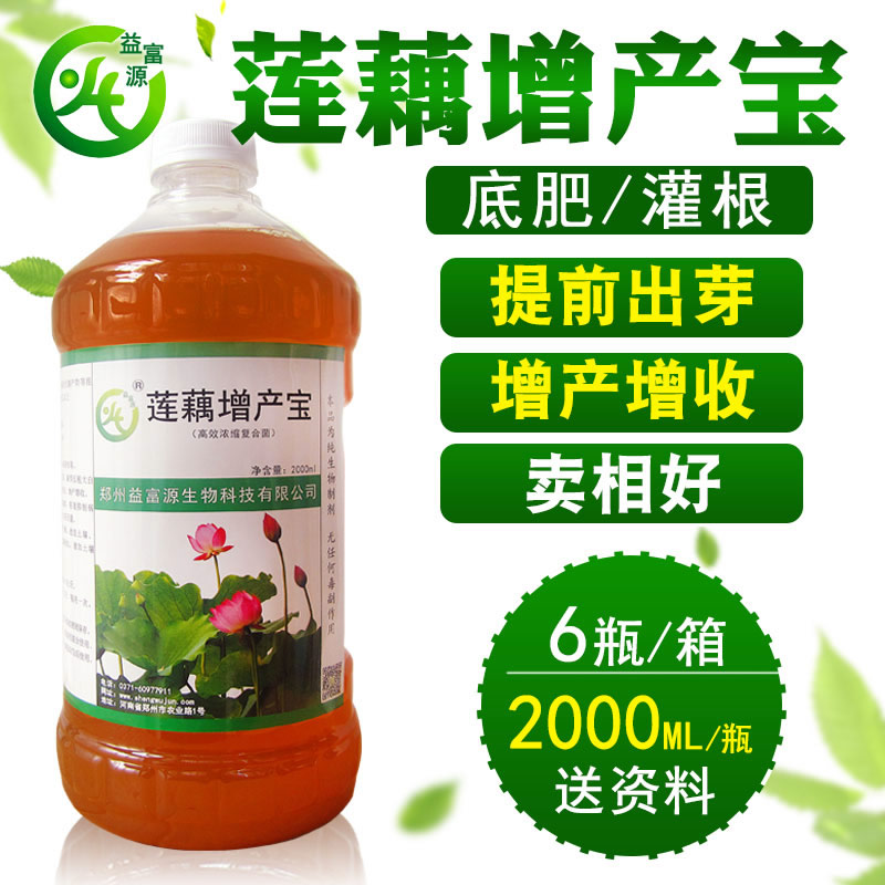 蓮藕增產(chǎn)寶圖片