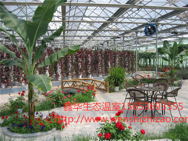 餐廳溫室圖片/餐廳溫室樣板圖 (3)
