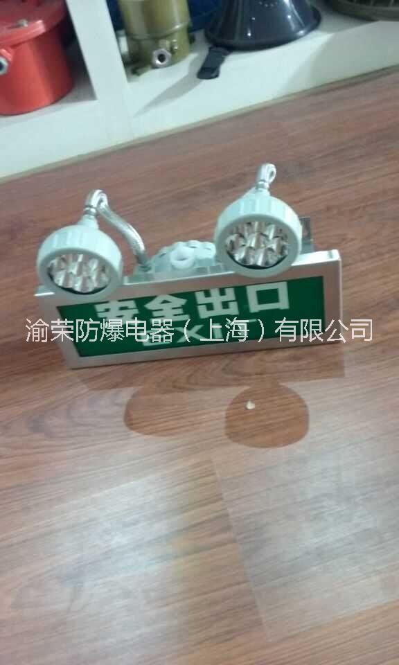 兩用燈圖片/兩用燈樣板圖 (4)