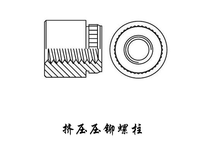 擠壓螺柱圖片/擠壓螺柱樣板圖 (2)