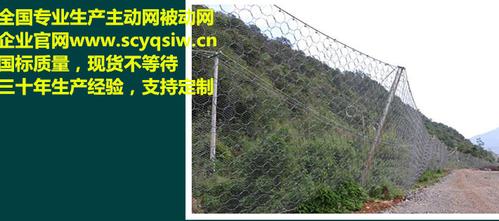 被動(dòng)網(wǎng)圖片/被動(dòng)網(wǎng)樣板圖 (2)