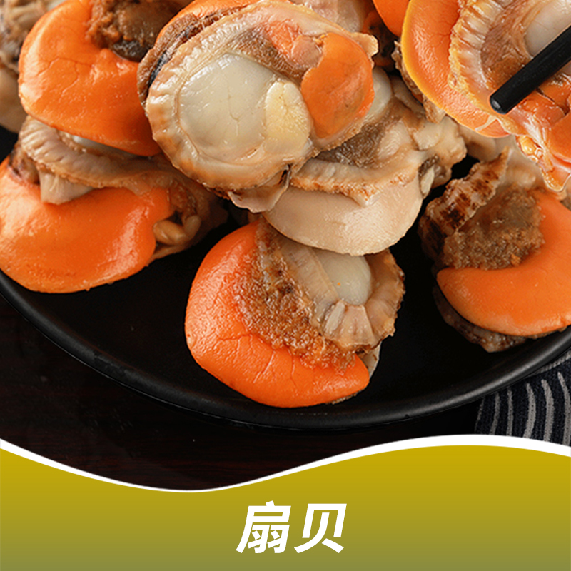 長(zhǎng)沙扇貝圖片/長(zhǎng)沙扇貝樣板圖 (2)