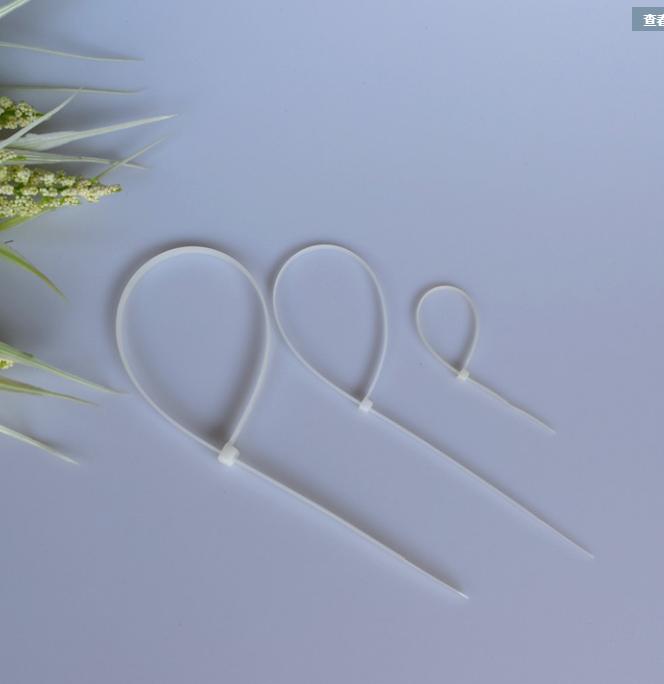 尼龍?jiān)鷰D片/尼龍?jiān)鷰影鍒D (3)