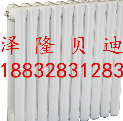 鋼制散熱器圖片/鋼制散熱器樣板圖 (2)
