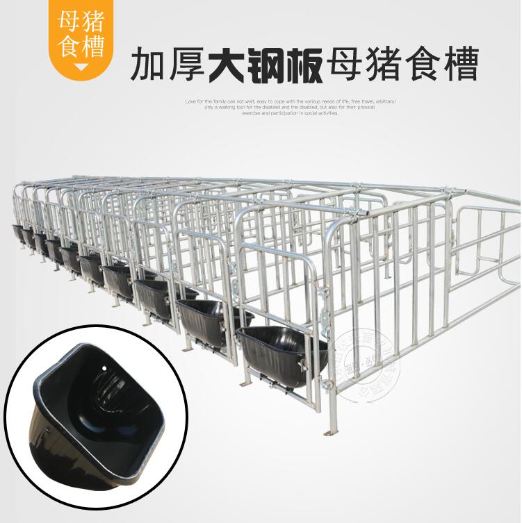 母豬限位欄圖片/母豬限位欄樣板圖 (3)