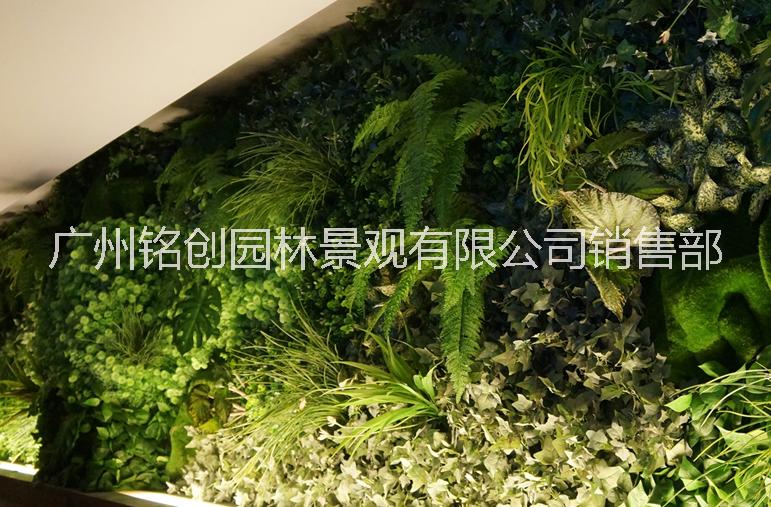 仿真植物墙尤加利绿植背景墙厂家广州铭创