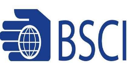 BSCI驗圖片/BSCI驗樣板圖 (2)