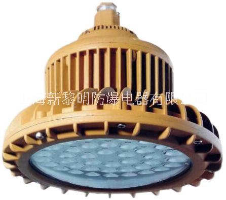 BZD210防爆燈、LED防爆燈 BZD210防爆免維護LED