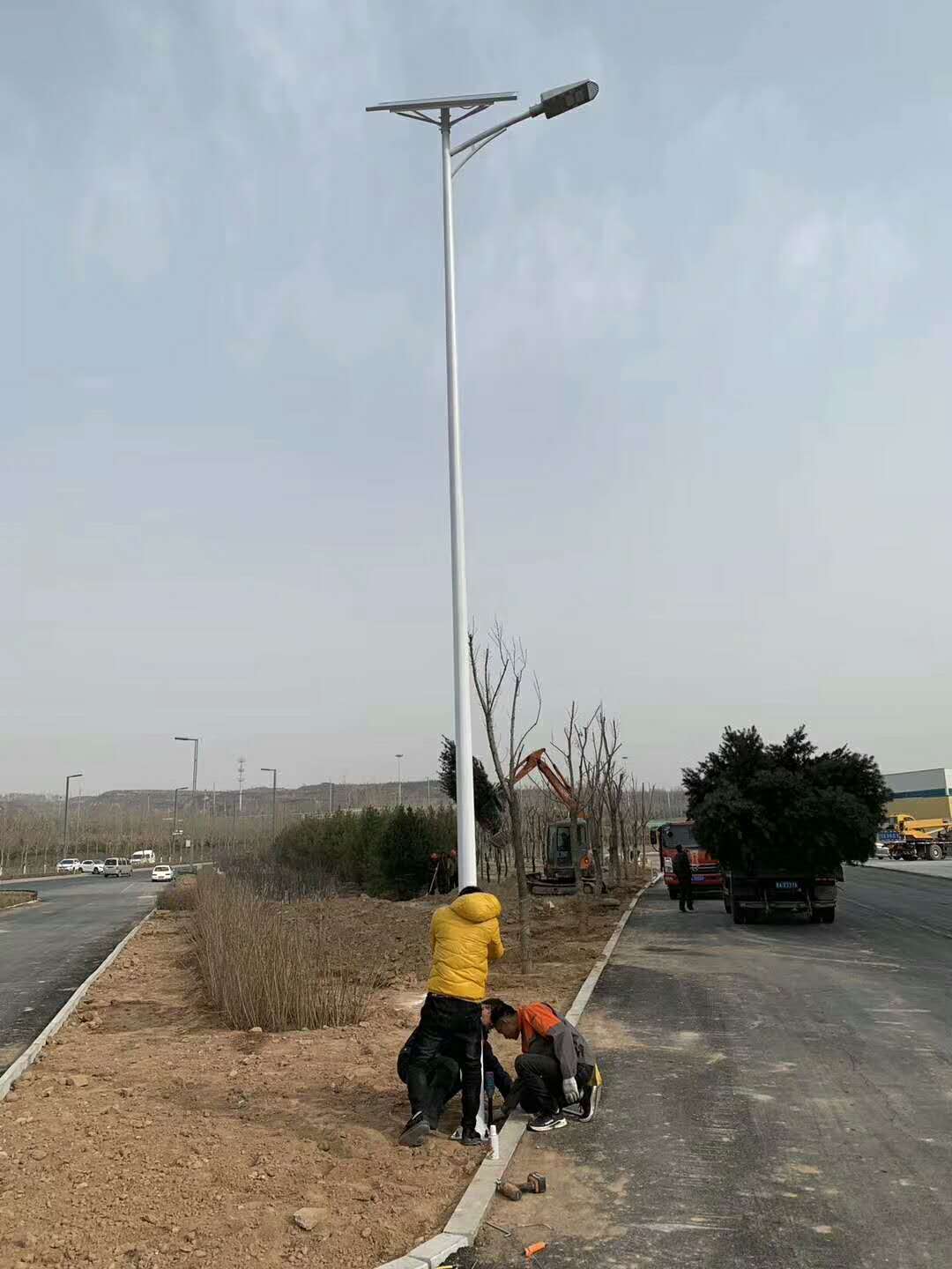 太陽能路燈圖片/太陽能路燈樣板圖 (2)