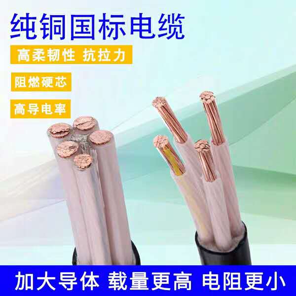 純銅國標(biāo)電纜圖片/純銅國標(biāo)電纜樣板圖 (3)