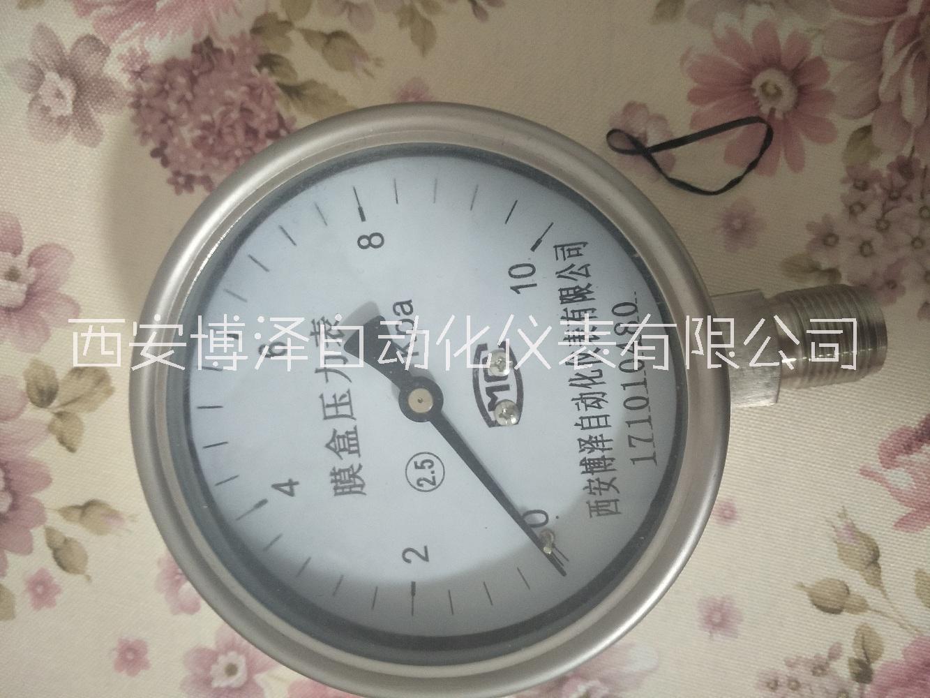 膜盒壓力表圖片/膜盒壓力表樣板圖 (3)