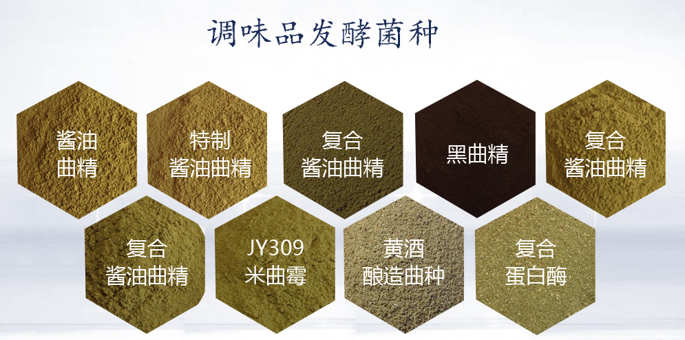 乳酸菌圖片/乳酸菌樣板圖 (2)