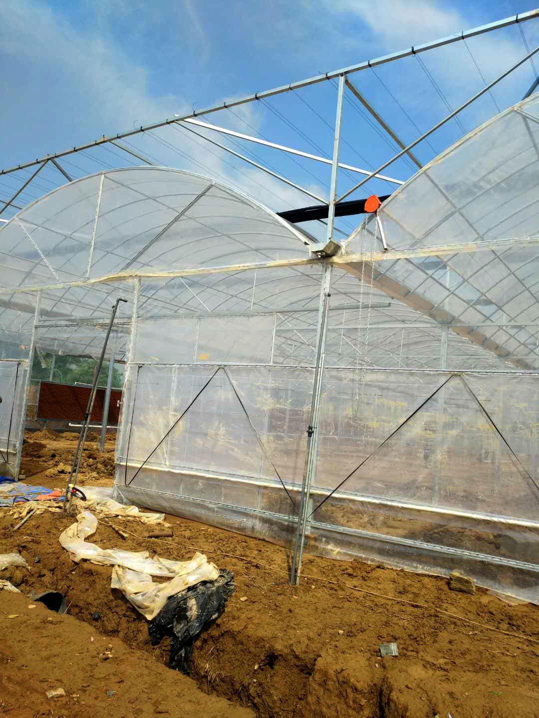 單層連棟薄膜溫室、薄膜溫室價(jià)格 單層連棟薄膜溫室造價(jià)