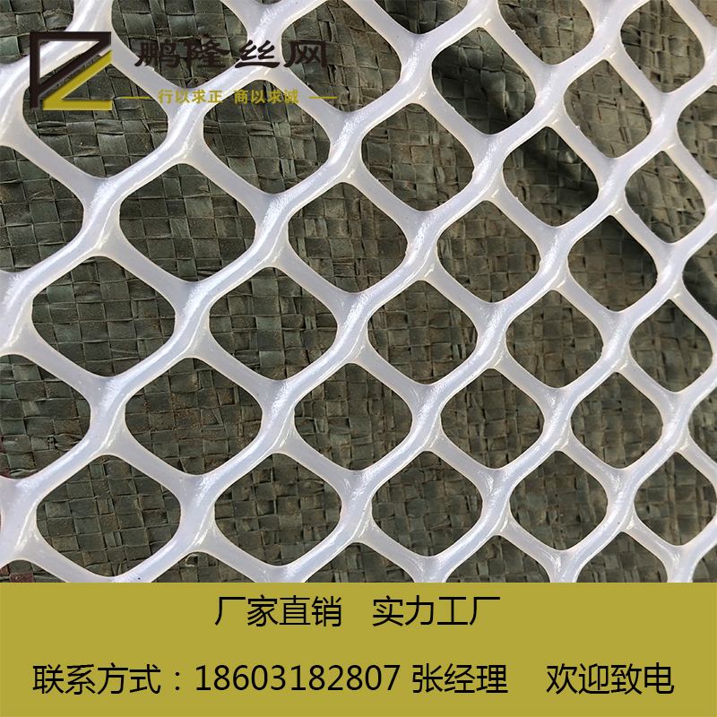 鵬隆絲網(wǎng) 廠家直銷 塑料平網(wǎng)養(yǎng)殖用網(wǎng)塑料*網(wǎng)