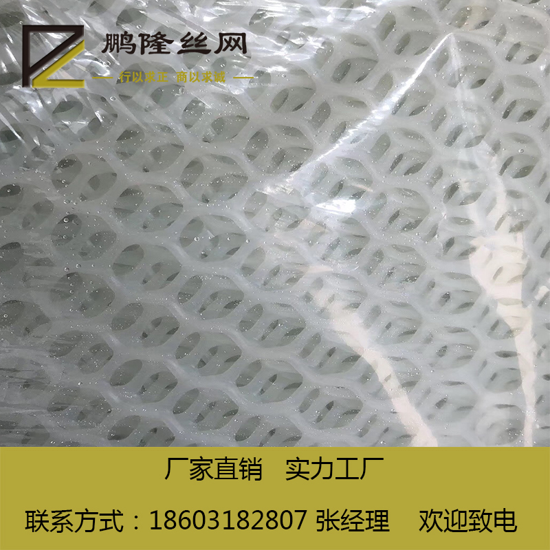 塑料平網(wǎng)圖片/塑料平網(wǎng)樣板圖 (1)