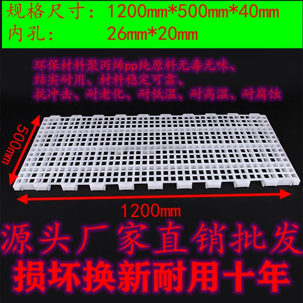 塑料漏糞板雞鴨漏糞板養(yǎng)雞用具養(yǎng)雞