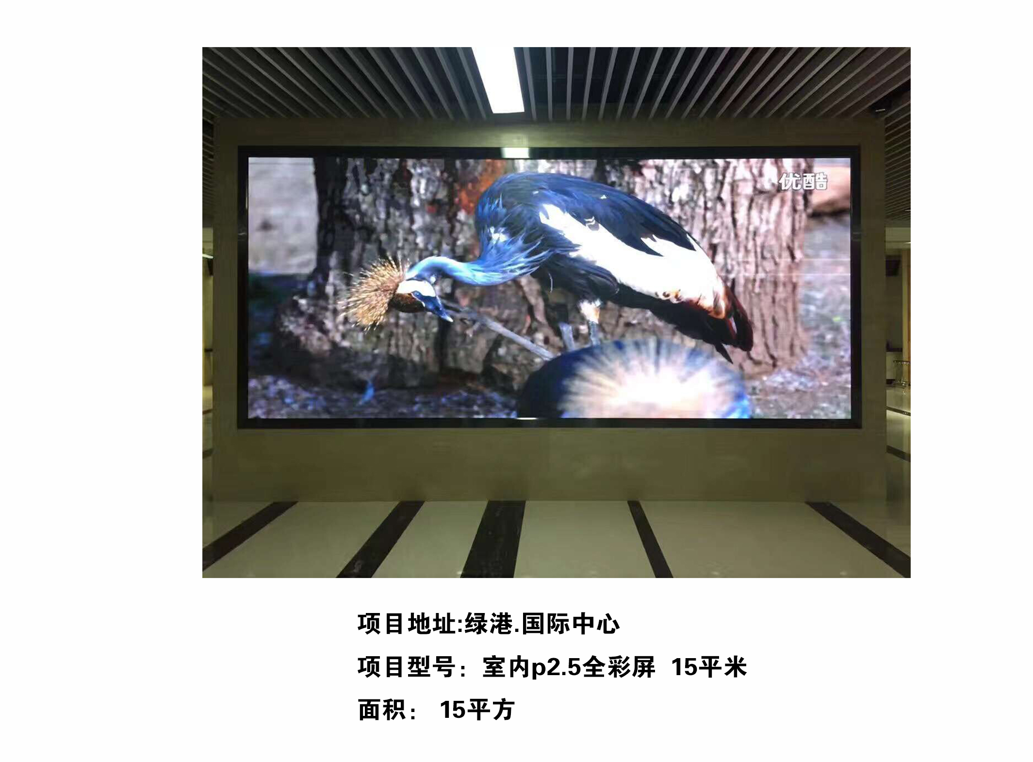 室內D2.5全彩