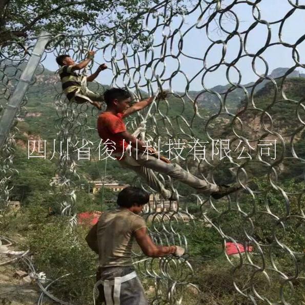 被動(dòng)網(wǎng)圖片/被動(dòng)網(wǎng)樣板圖 (3)