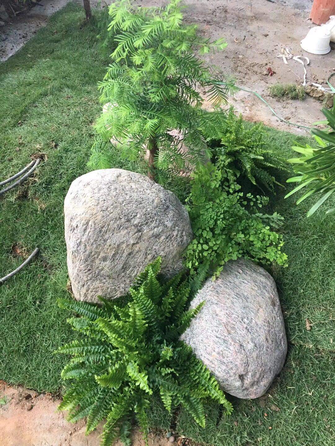 園林景觀圖片/園林景觀樣板圖 (2)