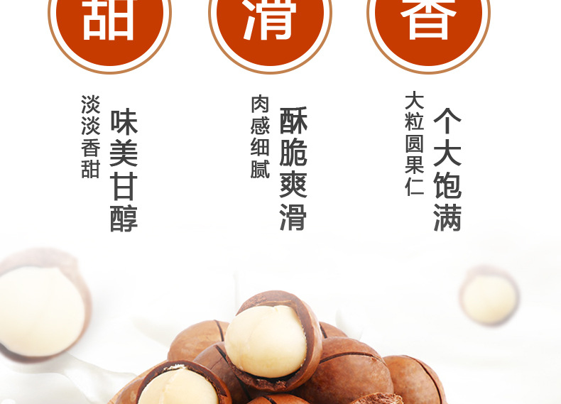 澳洲堅果圖片/澳洲堅果樣板圖 (3)