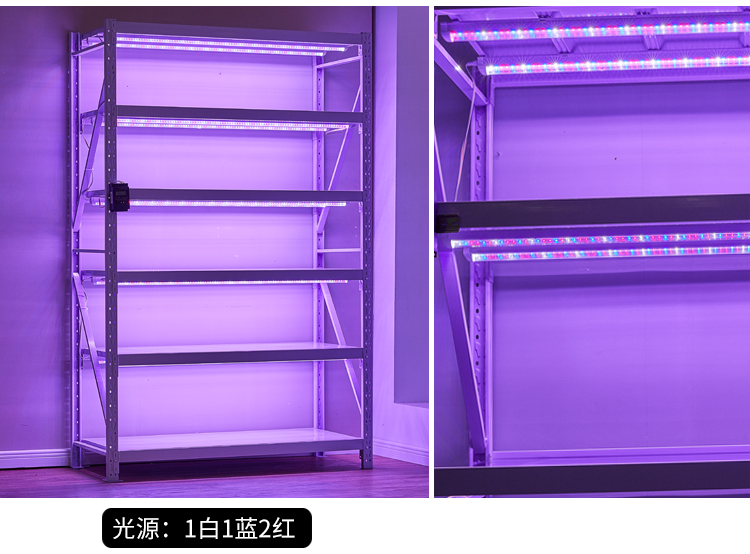 19年新款升級(jí)版植物組培架圖片