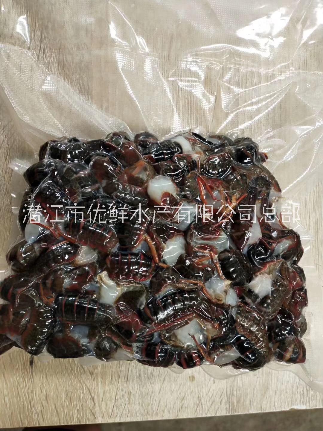 小龍蝦圖片/小龍蝦樣板圖 (2)