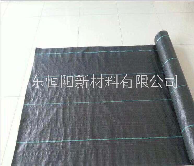 復(fù)合土工膜圖片/復(fù)合土工膜樣板圖 (3)