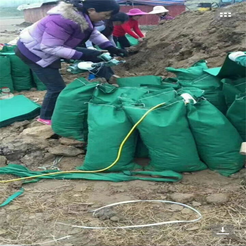 生態(tài)袋圖片/生態(tài)袋樣板圖 (4)