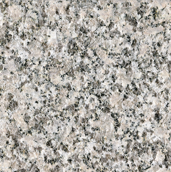 芙蓉白圖片/芙蓉白樣板圖 (3)