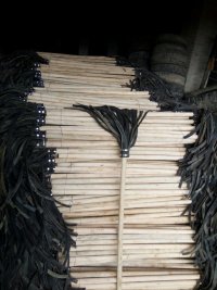 森防圖片/森防樣板圖 (3)