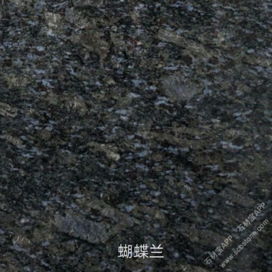 蝴蝶蘭圖片/蝴蝶蘭樣板圖 (2)