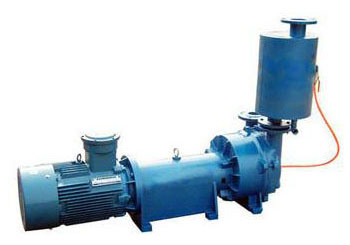 環(huán)式真空泵圖片/環(huán)式真空泵樣板圖 (3)