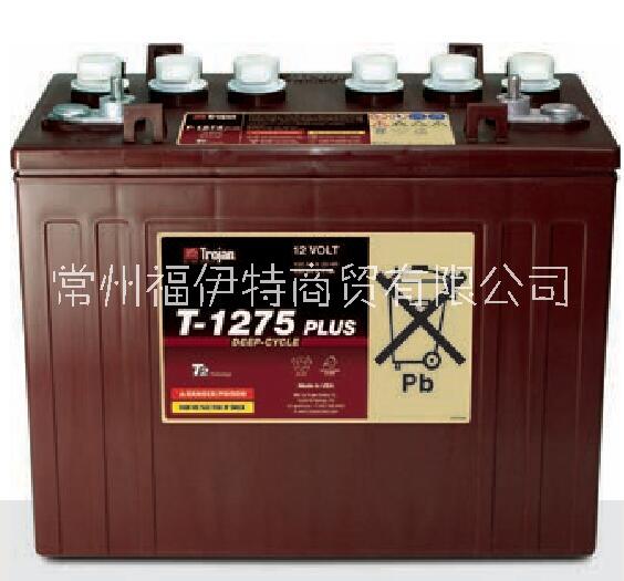 美國原裝T-1275PLus電池