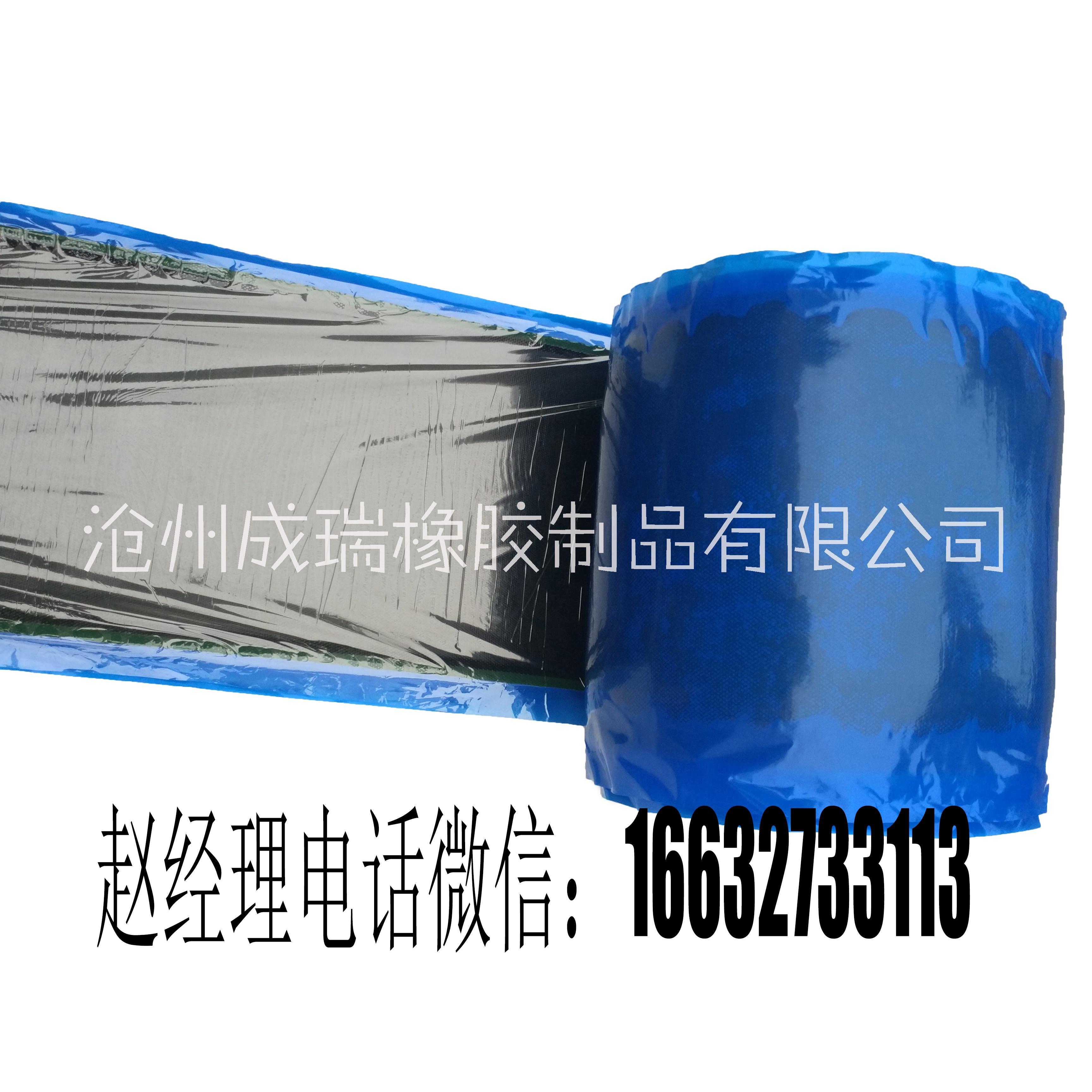 皮帶修補(bǔ)條圖片/皮帶修補(bǔ)條樣板圖 (2)