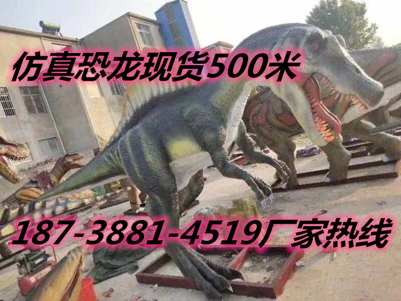 軍事模型圖片/軍事模型樣板圖 (4)