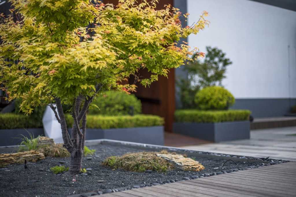 歐式庭院圖片/歐式庭院樣板圖 (4)