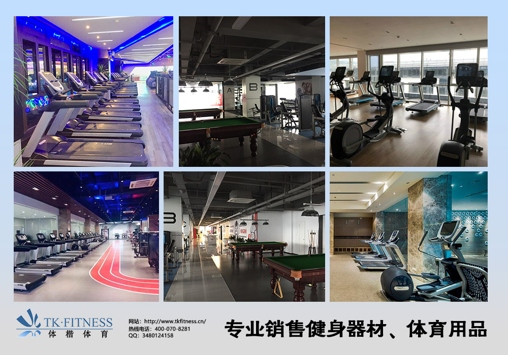 美國速爾SOLE高端家用TT8N圖片/美國速爾SOLE高端家用TT8N樣板圖 (3)