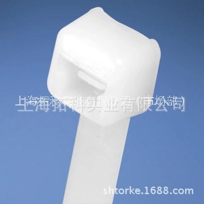 尼龍線纜扎帶圖片/尼龍線纜扎帶樣板圖 (1)