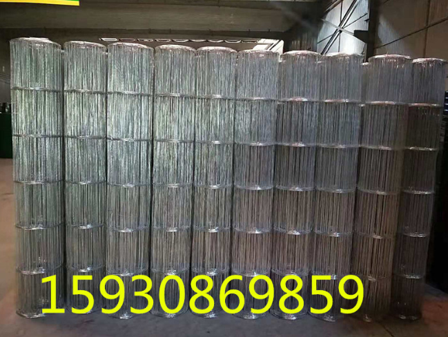 高鋅鐵絲網(wǎng)圖片