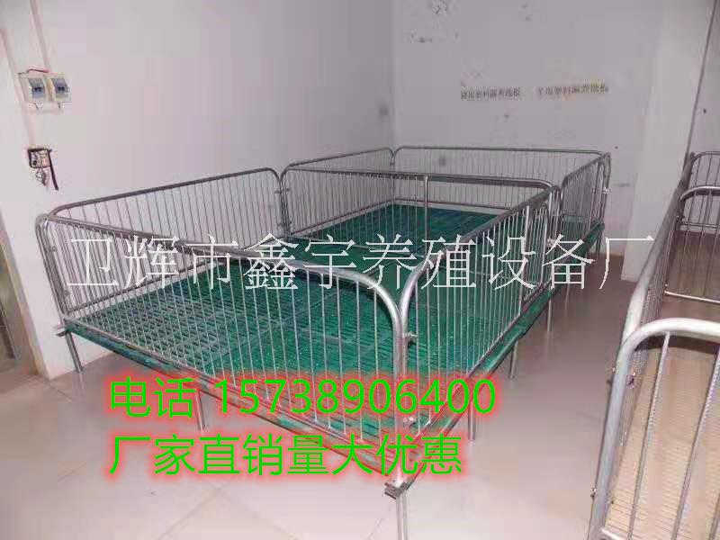 廠家直銷仔豬保育床 復(fù)合板仔豬圖片/廠家直銷仔豬保育床 復(fù)合板仔豬樣板圖 (3)