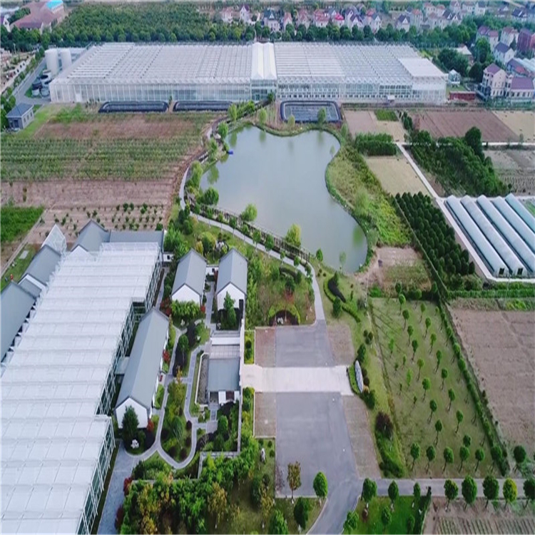 鋼結(jié)構(gòu)玻璃大棚造價 溫室生態(tài)園圖片/鋼結(jié)構(gòu)玻璃大棚造價 溫室生態(tài)園樣板圖 (4)