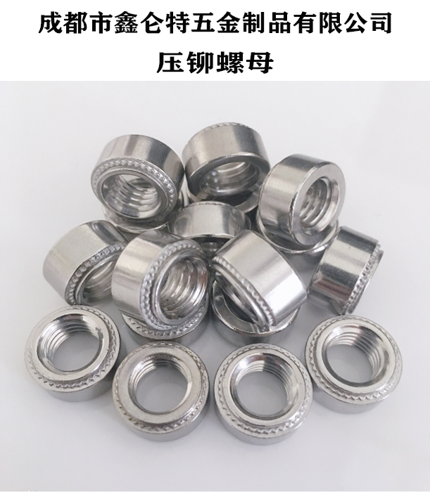 壓鉚螺母圖片/壓鉚螺母樣板圖 (3)