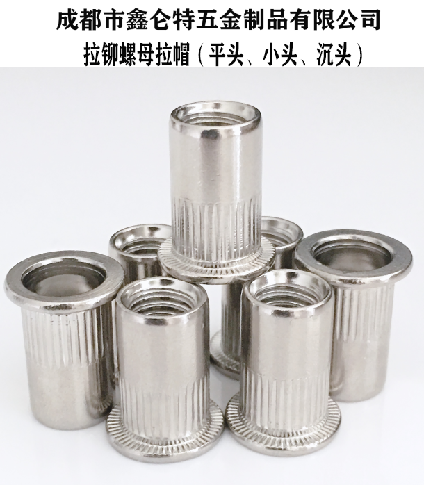 供應(yīng)重慶成都抽芯鉚釘4*10拉釘圖片/供應(yīng)重慶成都抽芯鉚釘4*10拉釘樣板圖 (4)
