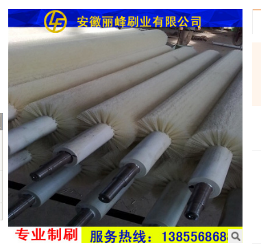 尼龍毛刷輥圖片/尼龍毛刷輥樣板圖 (3)