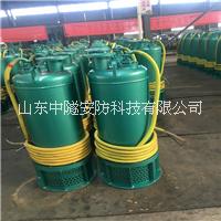 BQS200-30-37/N圖片/BQS200-30-37/N樣板圖 (1)