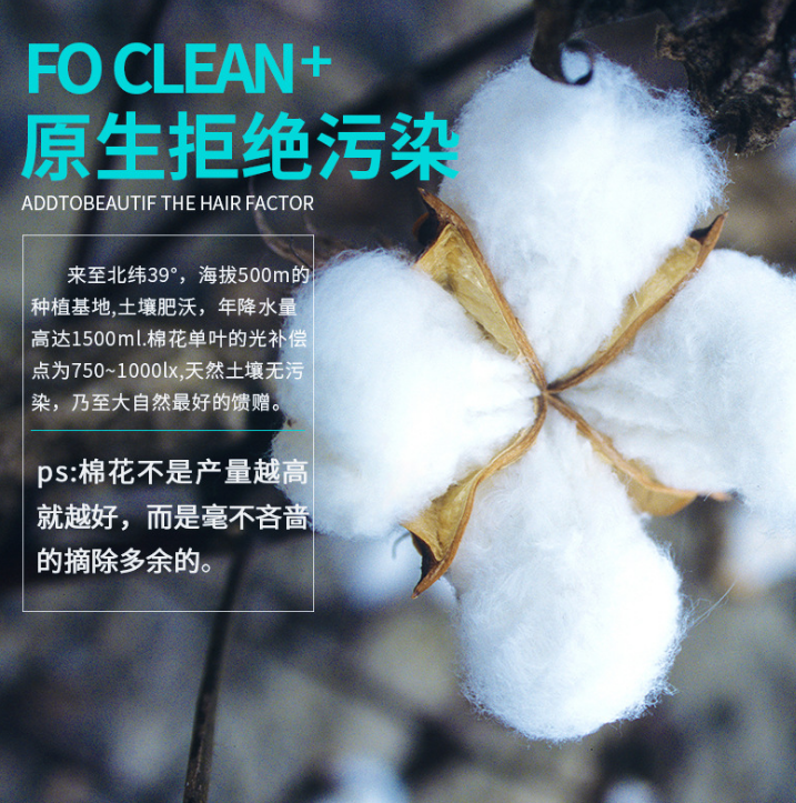 little angel 蕾特安圖片/little angel 蕾特安樣板圖 (2)