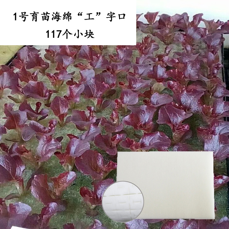 育苗海綿  批發(fā) 廠家 水培配件圖片