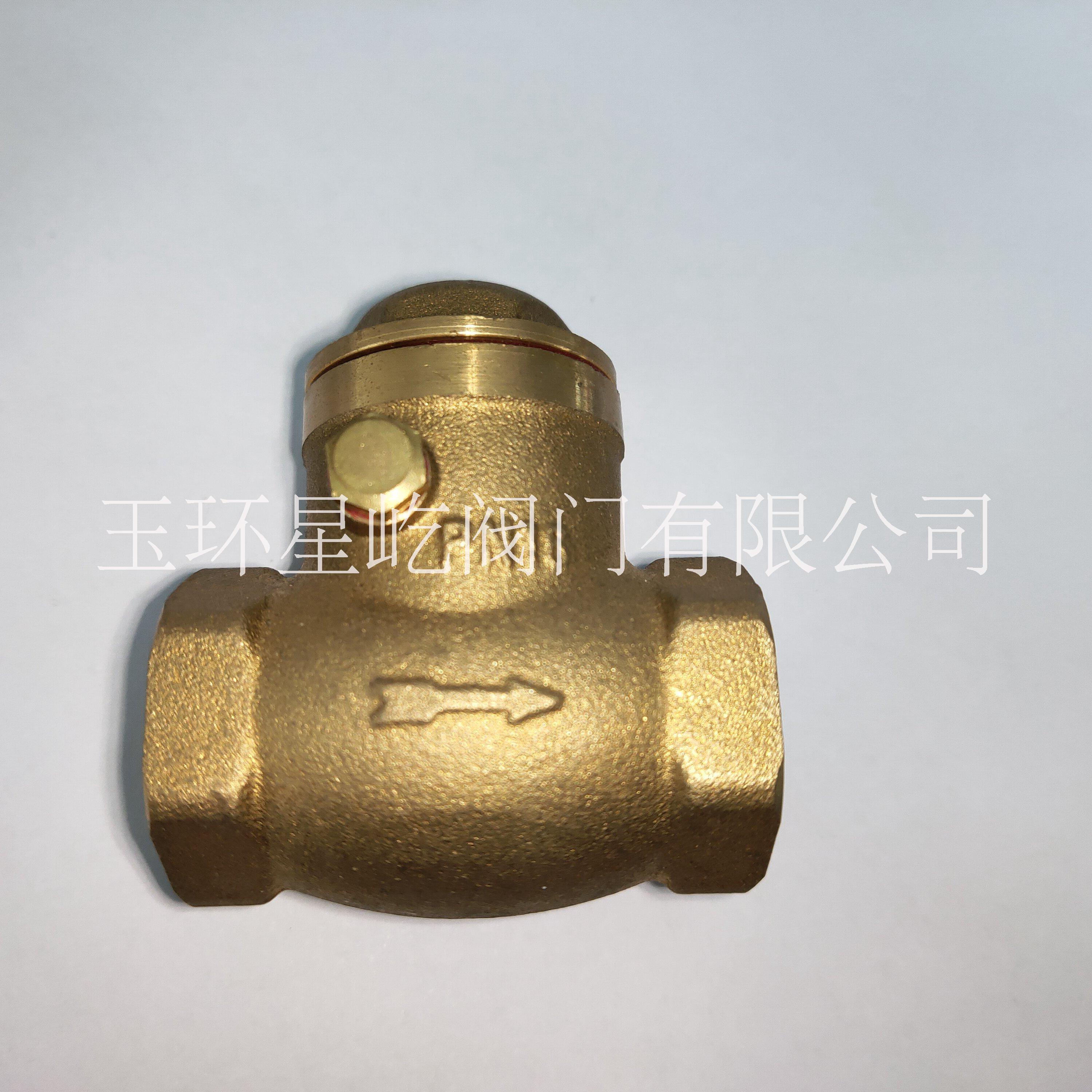 橫式擋板止回閥 玉環(huán)廠家直銷旋啟圖片